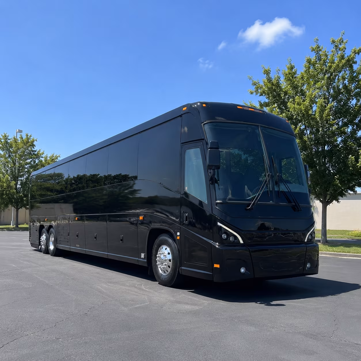 tucson 56 passenger charter bus