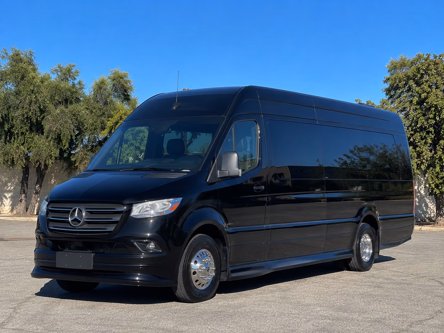 tucson sprinter van with driver